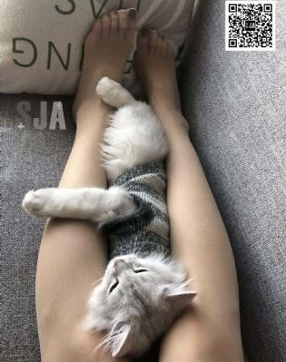 庆余年第三部日韩剧在线观看_国产剧高清视频播放